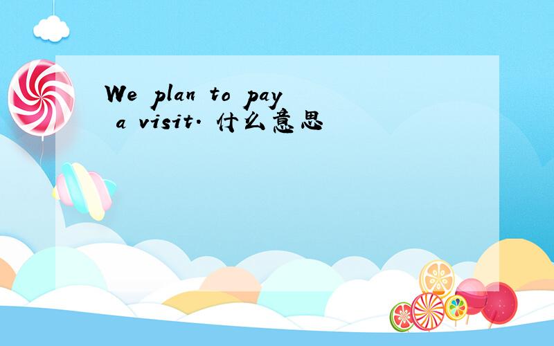 We plan to pay a visit. 什么意思