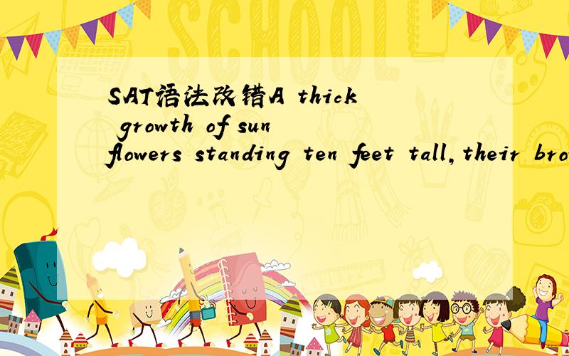 SAT语法改错A thick growth of sunflowers standing ten feet tall,their brown heads drooped over the fence with the weight of their seeds,A.standing ten feet tall,their brown heads droopingB.stood ten feet tall,their brown heads drooping 选什么?