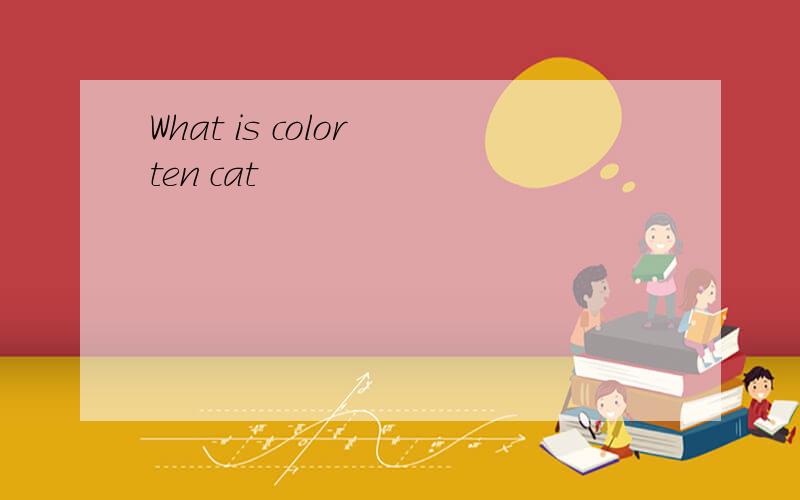 What is color ten cat