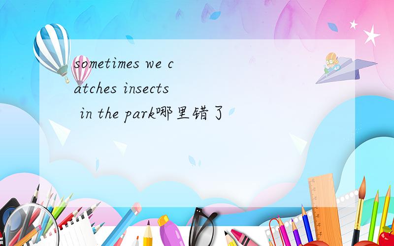 sometimes we catches insects in the park哪里错了