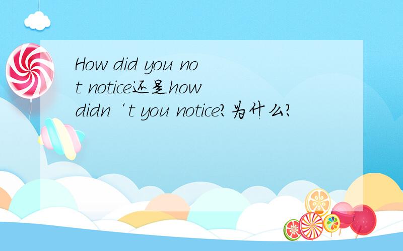 How did you not notice还是how didn‘t you notice?为什么?