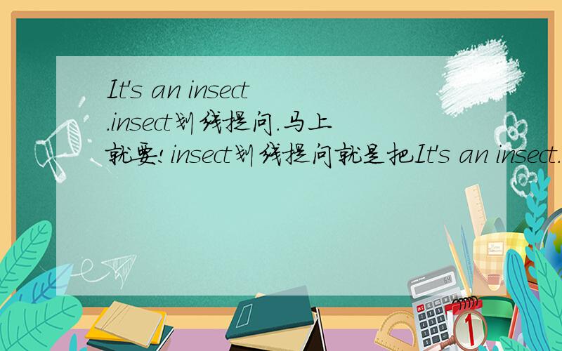 It's an insect.insect划线提问.马上就要!insect划线提问就是把It's an insect.改为特殊疑问句~