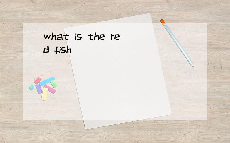 what is the red fish
