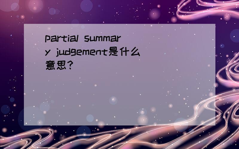 partial summary judgement是什么意思?
