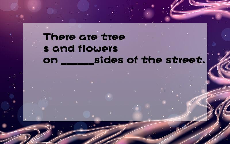 There are trees and flowers on ______sides of the street.