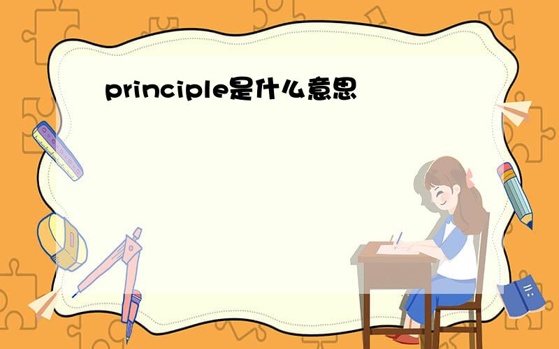principle是什么意思