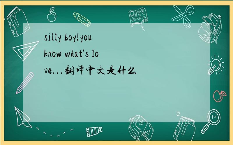 silly boy!you know what's love...翻译中文是什么