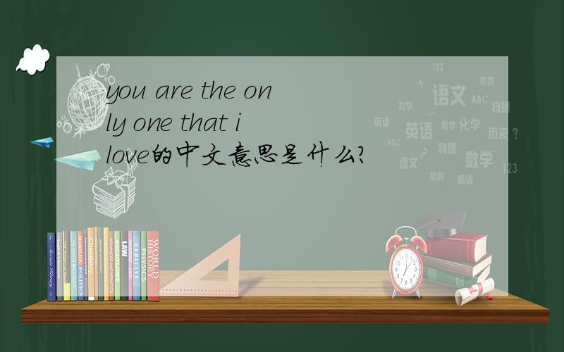 you are the only one that i love的中文意思是什么?