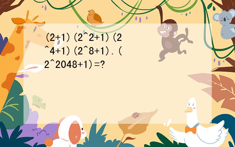 (2+1)(2^2+1)(2^4+1)(2^8+1).(2^2048+1)=?