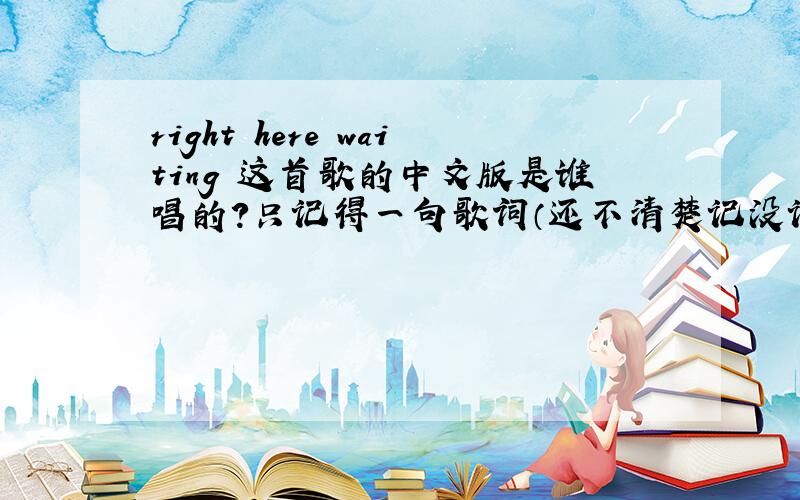 right here waiting 这首歌的中文版是谁唱的?只记得一句歌词（还不清楚记没记错）,就是高潮的第一句“在海的那头……”