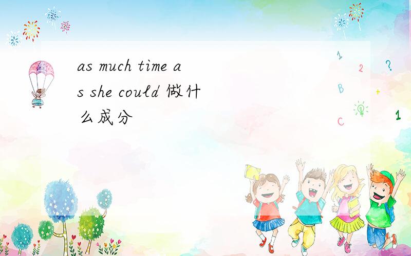 as much time as she could 做什么成分