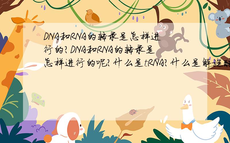 DNA和RNA的转录是怎样进行的?DNA和RNA的转录是怎样进行的呢?什么是tRNA?什么是解旋酶?聚合酶?转录的场所是什么?谢谢.