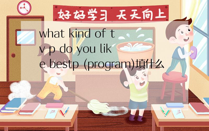 what kind of tv p do you like bestp (program)填什么