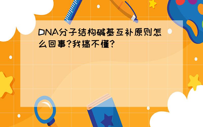DNA分子结构碱基互补原则怎么回事?我搞不懂?
