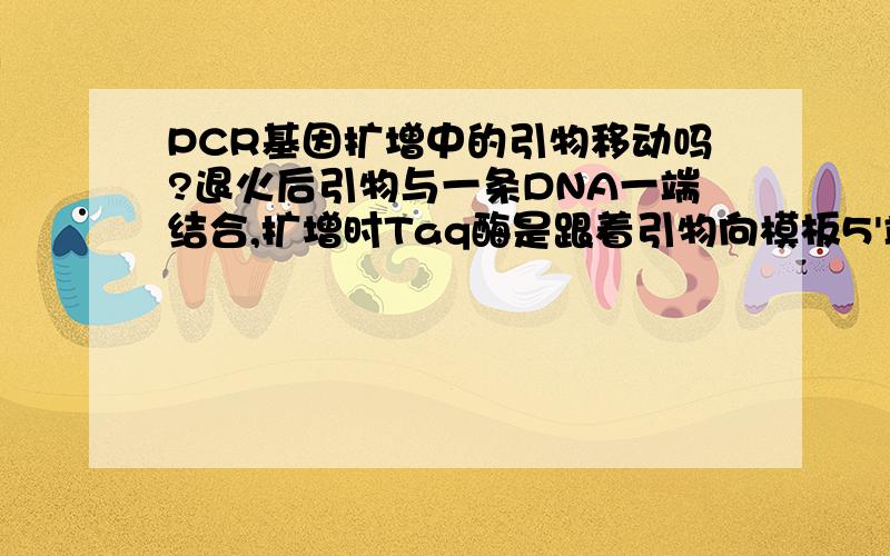 PCR基因扩增中的引物移动吗?退火后引物与一条DNA一端结合,扩增时Taq酶是跟着引物向模板5'端方向延伸,聚合dNTP形成新链吗?