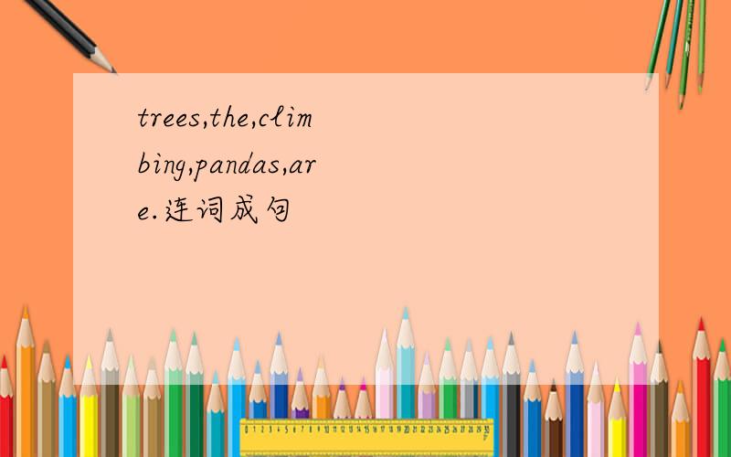 trees,the,climbing,pandas,are.连词成句