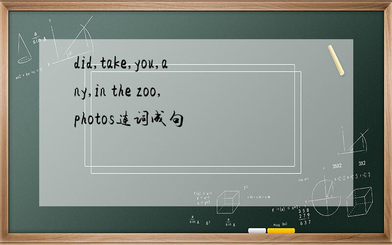 did,take,you,any,in the zoo,photos连词成句