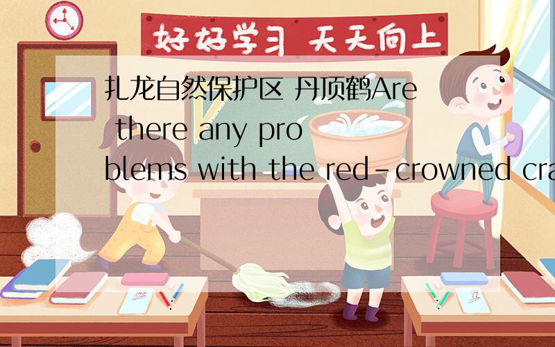 扎龙自然保护区 丹顶鹤Are there any problems with the red-crowned crane in Zhalong?扎龙自然保护区的丹顶鹤现在面临着哪些问题?最好用英文回答,不用太长,几句话就可以了