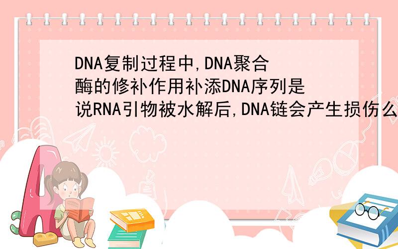 DNA复制过程中,DNA聚合酶的修补作用补添DNA序列是说RNA引物被水解后,DNA链会产生损伤么?损伤是怎么造成的呢?还是说,RNA引物的序列也是模板DNA上的一部分,所以水解后要用DNA聚合酶补添.