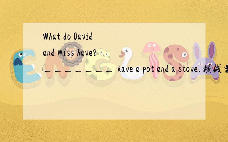 What do David and Miss have?_______ have a pot and a stove.横线里应该填什么?